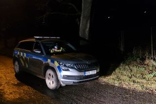 Únosce se přiznal, chlapce vzal do chaty ve Žlutavě proti jeho vůli - Novinky